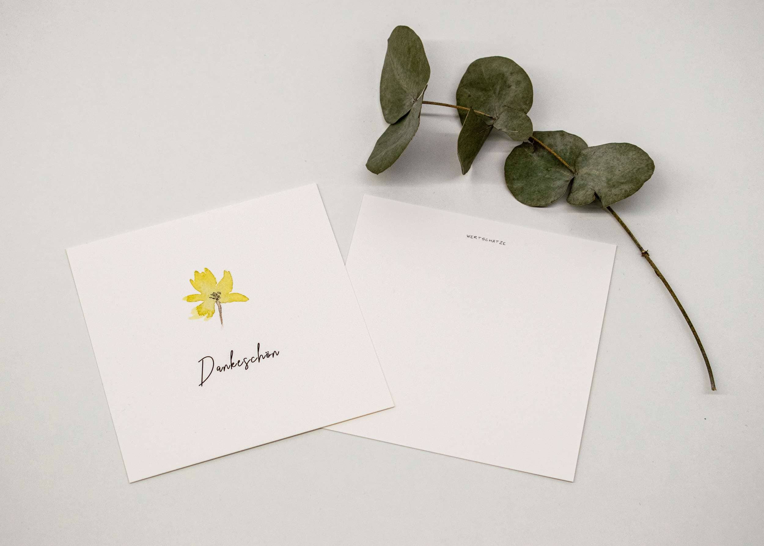 5er-Set QUADRATISCHE GRUßKARTEN 3 Florale Dankeskarte mit Eukalyptus auf weißem Hintergrund.