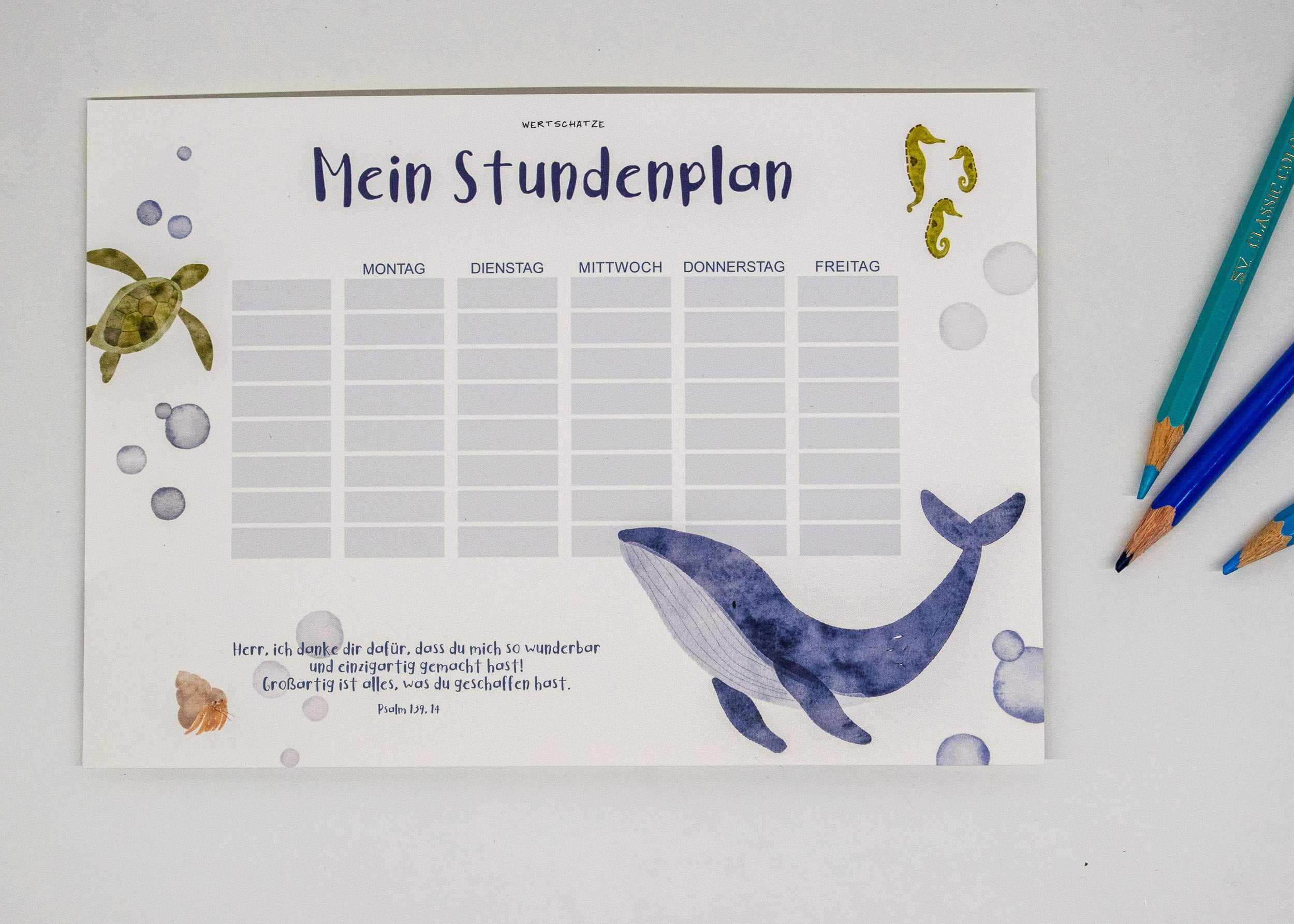 STUNDENPLAN 2 in 1 "Wunderbar & einzigartig" 2 Fröhe Wasserwelt Ausmalbild mit Seepferdchen und Meerestieren für Kinder.