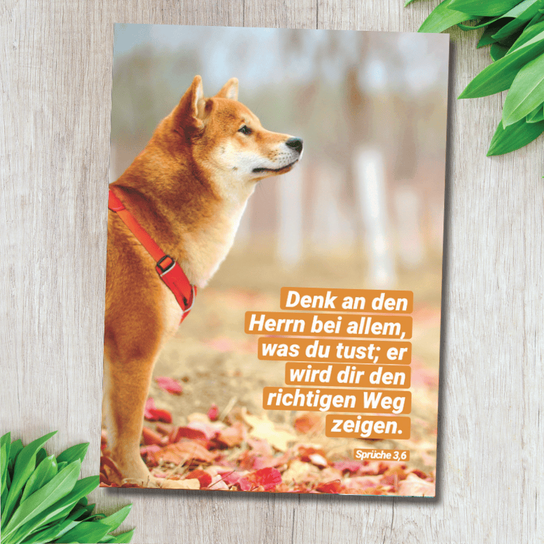 Postkarte - Denk an den Herrn 1 Vertrau auf Gott für Wegweisung und Führung im Alltag.