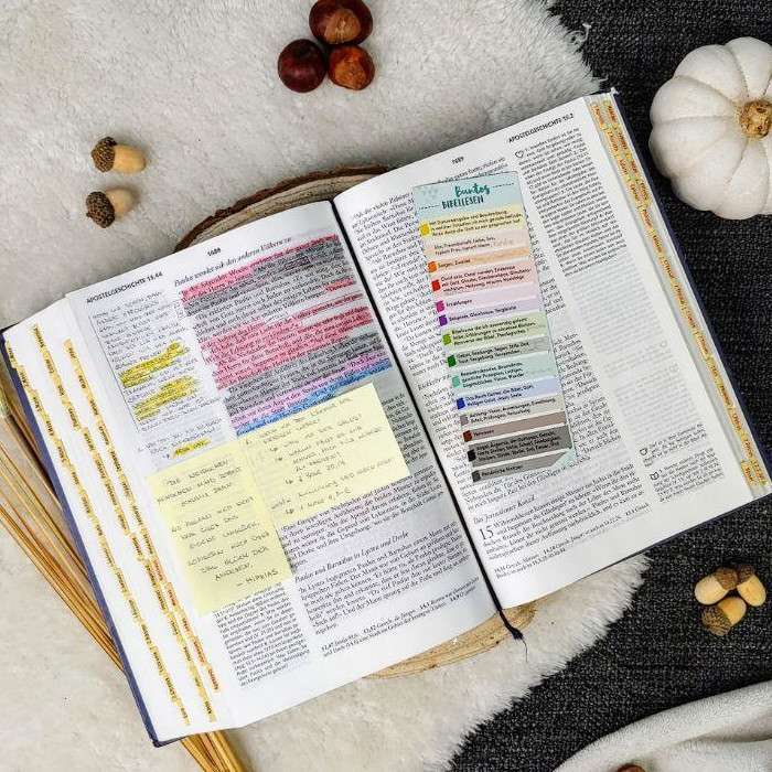 10x Buntes Bibellesen | Lesezeichen | Set | Bibel Markiersystem | Bibel lesen | Bibelstudium | Bibelaccessoire | Register | Christlich 2 Gottes Wort Bibelstudy Christliche Marken Rosengesicht Bibelnotizen christlicher Glaube Bibelstudium Gottesplan Christian Brand Marketplace.