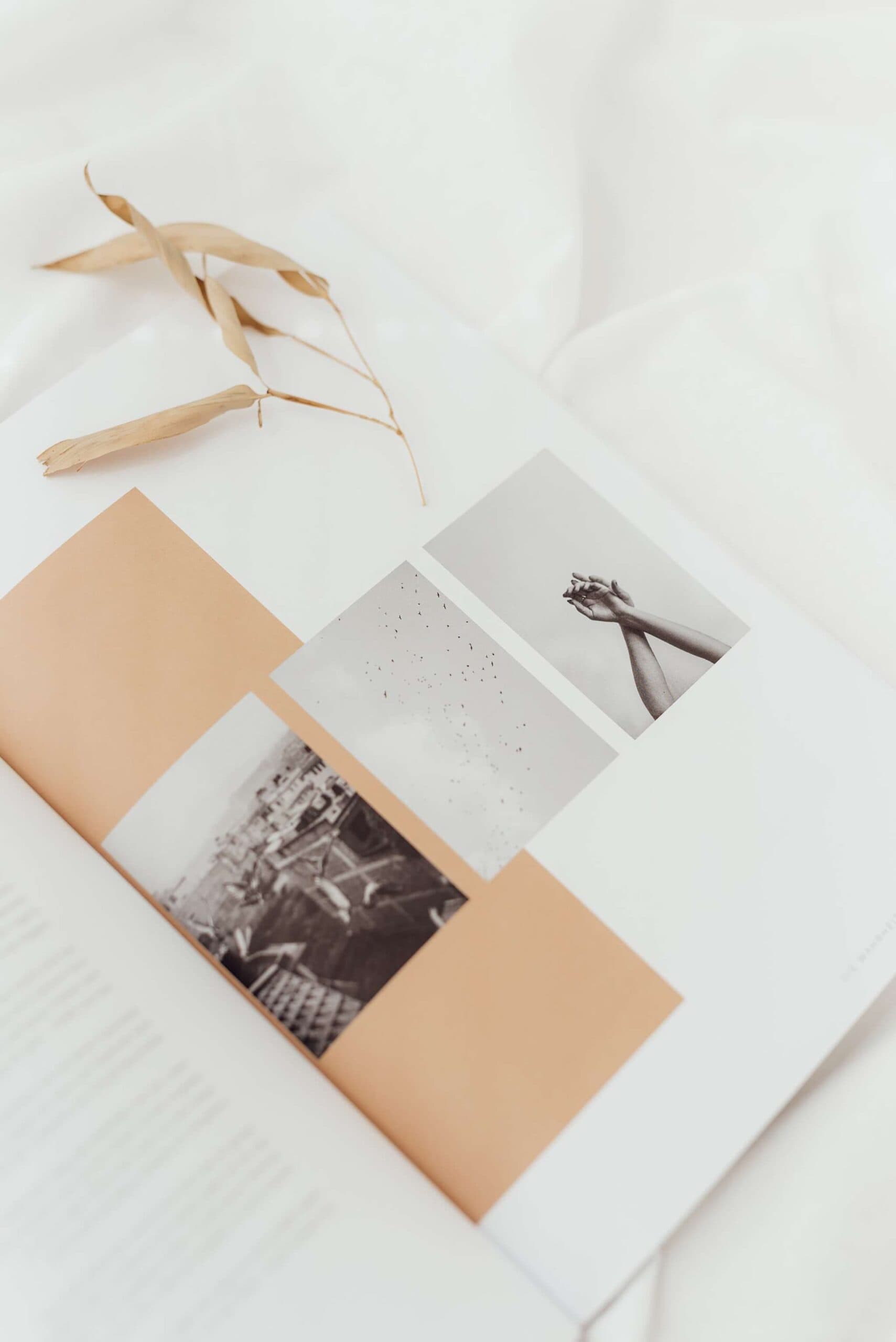 FREI SEIN - Das Magazin von Stennie+Friends 2 Inspirierende christliche Marken auf Mookho.de, Marktplatz für christliche Produkte und Lifestyle.