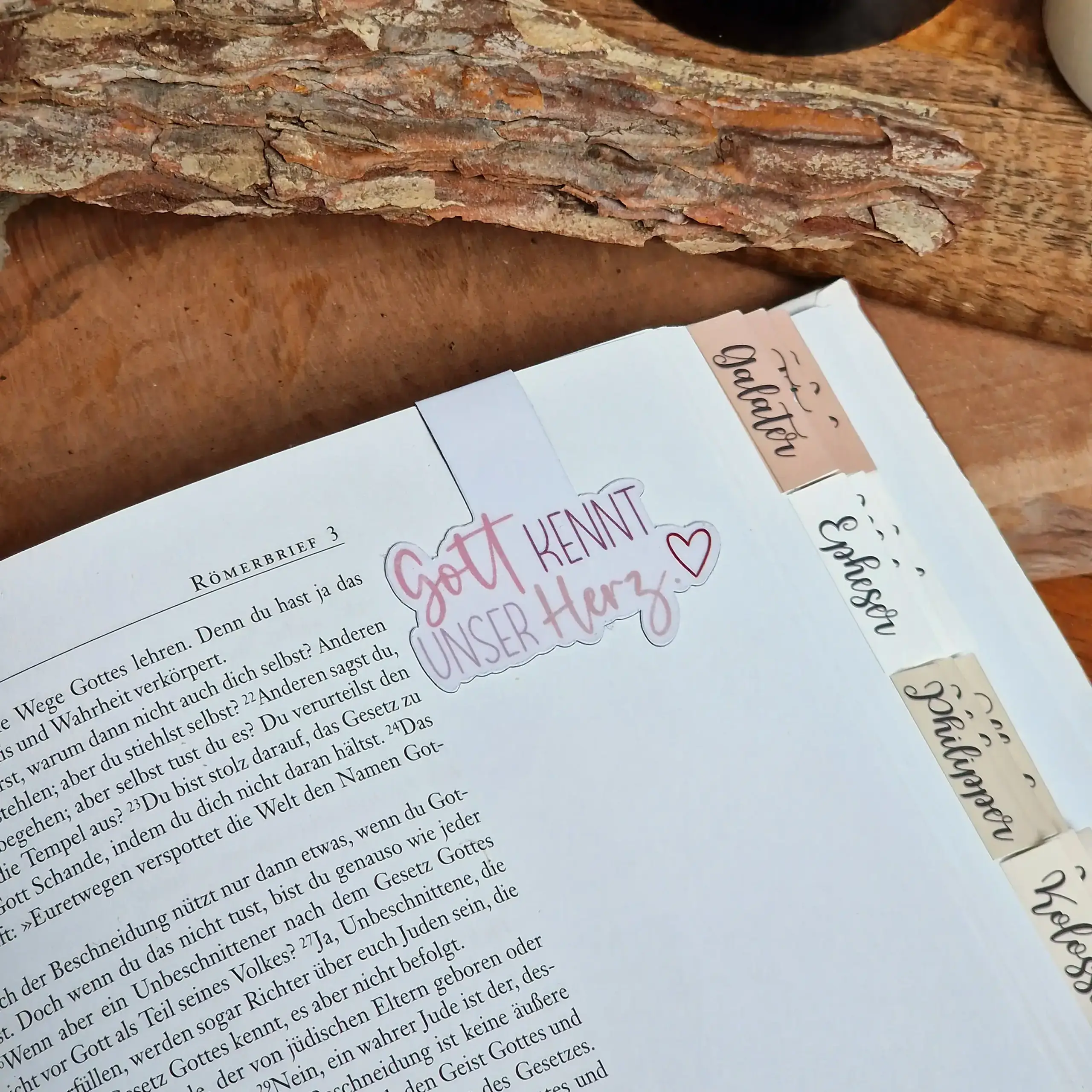 Gott kennt unser Herz | Magnet-Lesezeichen | Christlich | Geschenk 3 Gott kennt unser Herz - christliche Bibelzitate, Gebetsnotizen, religiöse Inspiration.