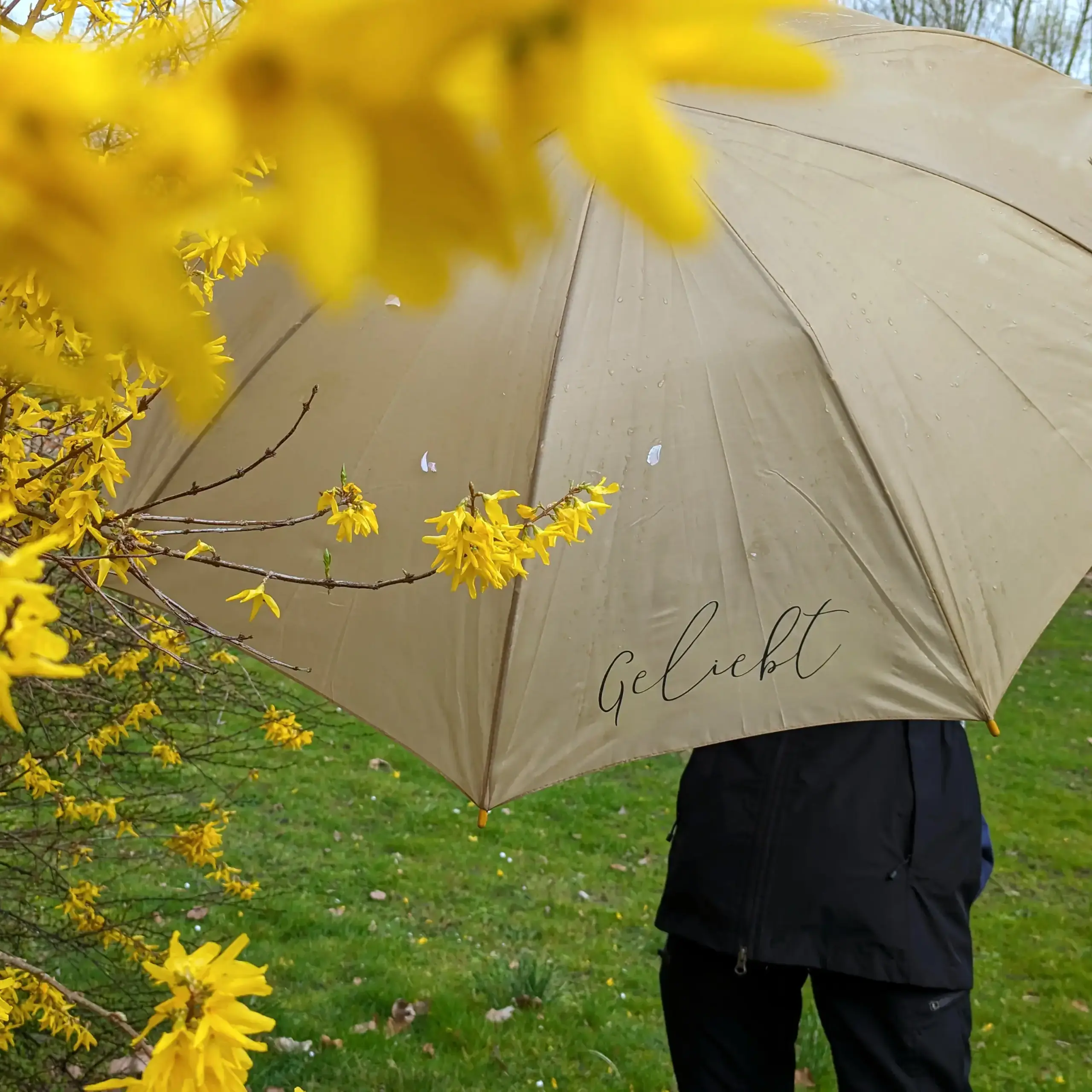 Regenschirm „geliebt“ | Dein stilvoller Schutz mit kraftvoller Message | Römer 5, 8 | Geliebt | Christlich | Geschenk | Sonnenschirm 3 Regenschirm mit "Geliebt" Aufschrift, christliche Marken, Schutz bei Regen, für Glaube und Liebe.
