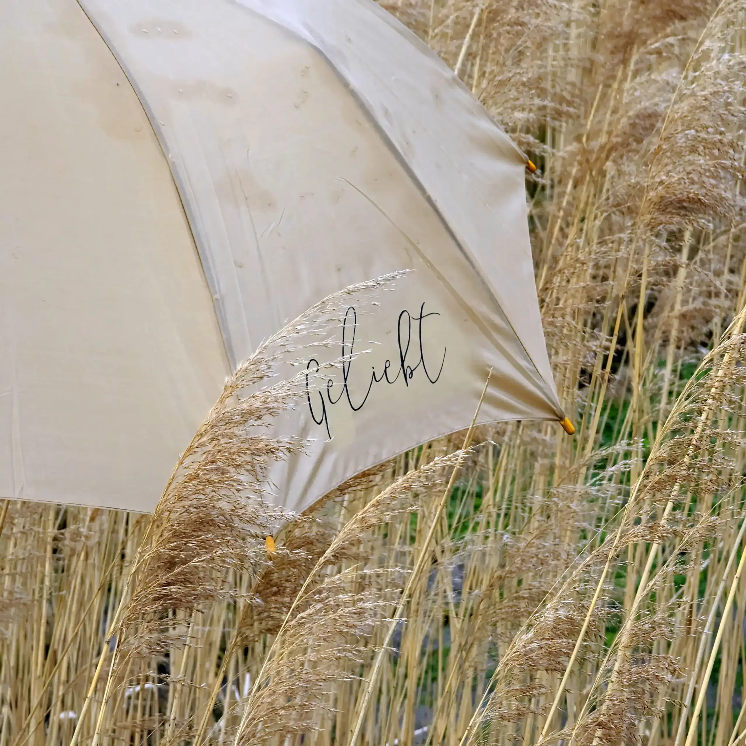 Regenschirm „geliebt“ | Dein stilvoller Schutz mit kraftvoller Message | Römer 5, 8 | Geliebt | Christlich | Geschenk | Sonnenschirm 2 Segel mit dem Wort Liebe in der Mitte, Natur, Spiritualität, christliche Symbolik, nachhaltige Mode.