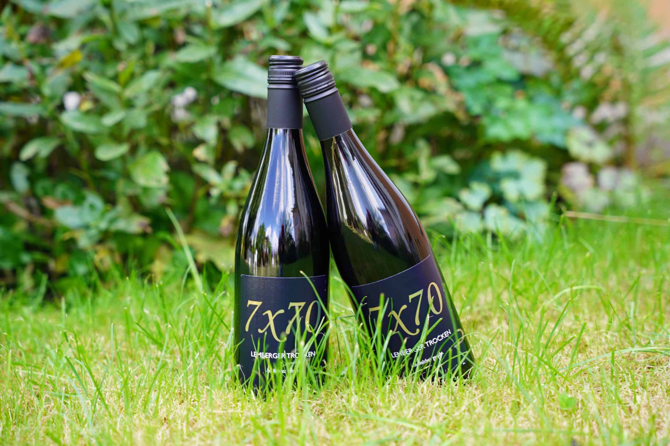 Lemberger Trocken 2 Eleganter Rotwein für Christen, fair produziert, hochwertiger Bio-Wein, Jubiläumswein.
