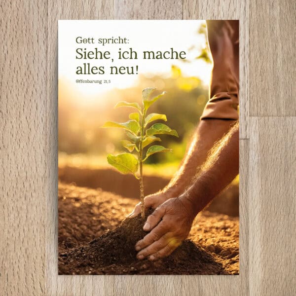 Vielfalt christlicher Marken auf Mookho.de, der Marktplatz für christliche Produkte.