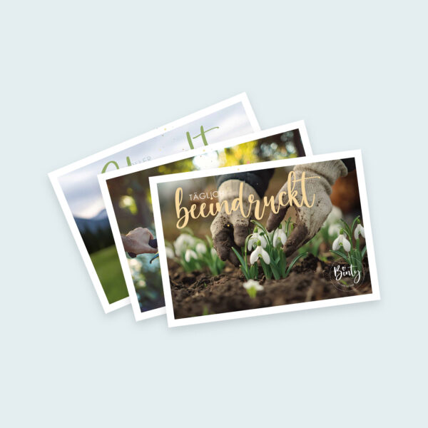 Tägliche Beindruckung mit Schneeglöckchen und Gartenhandschuhen.